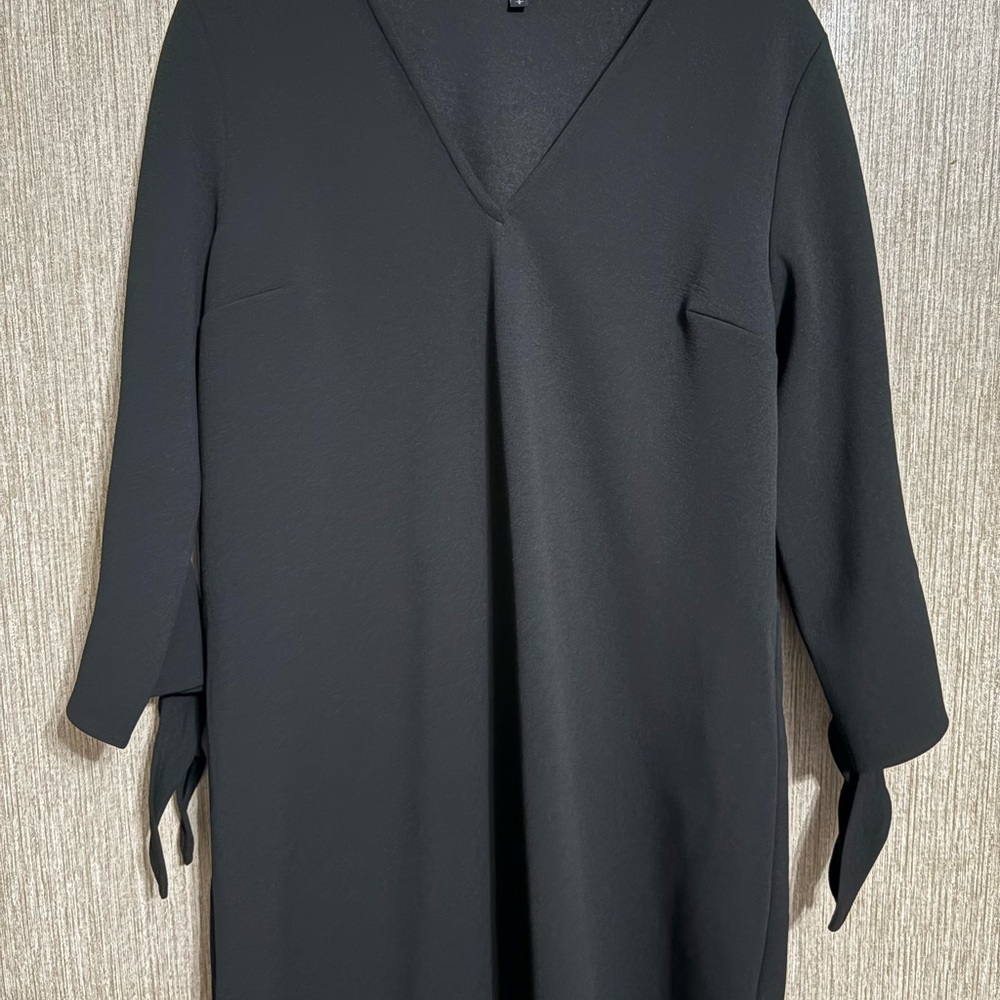 Express Black V-Neck Dress